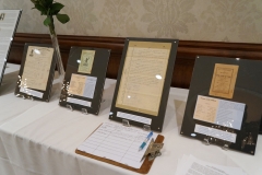 z display 11