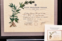 diploma-of-Soriano